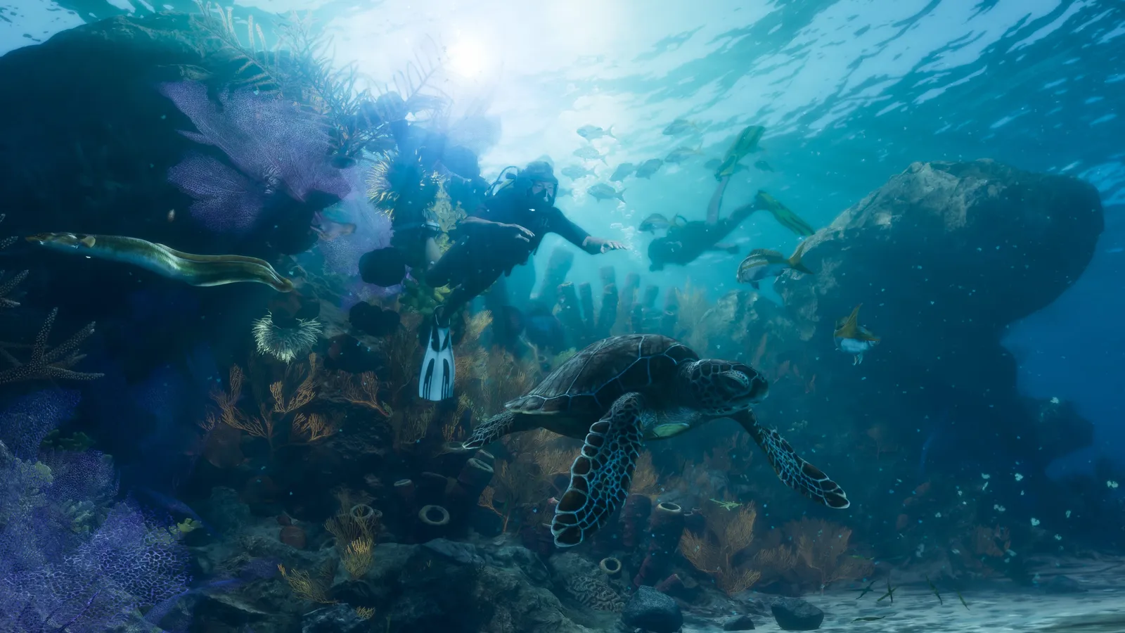 Sea turtle and reef fish in the Leonida Keys — official Rockstar press art